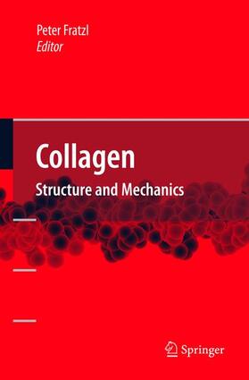 Fratzl | Collagen | Buch | 978-1-4419-4481-8 | sack.de