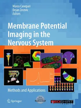 Canepari / Zecevic | Membrane Potential Imaging in the Nervous System | Buch | 978-1-4419-6557-8 | www.sack.de