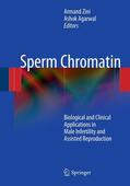 Zini / Agarwal |  Sperm Chromatin | eBook | Sack Fachmedien