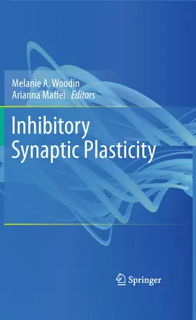 Woodin / Maffei | Inhibitory Synaptic Plasticity | E-Book | sack.de