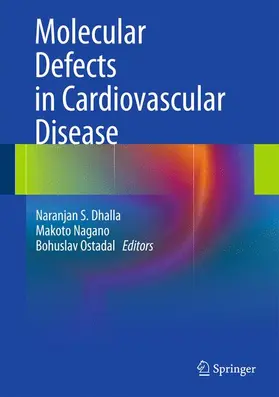 Dhalla / Ostadal / Nagano | Molecular Defects in Cardiovascular Disease | Buch | 978-1-4419-7129-6 | sack.de