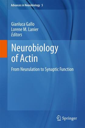 Lanier / Gallo | Neurobiology of Actin | Buch | 978-1-4419-7367-2 | sack.de