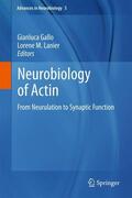 Lanier / Gallo |  Neurobiology of Actin | Buch |  Sack Fachmedien