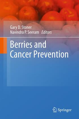 Seeram / Stoner | Berries and Cancer Prevention | Buch | 978-1-4419-7553-9 | sack.de