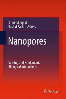Iqbal / Bashir |  Nanopores | Buch |  Sack Fachmedien