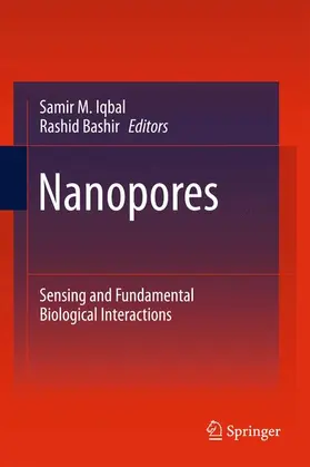 Iqbal / Bashir |  Nanopores | Buch |  Sack Fachmedien