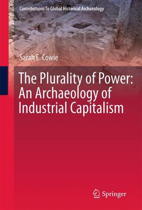 Cowie | The Plurality of Power | Buch | 978-1-4419-8305-3 | sack.de