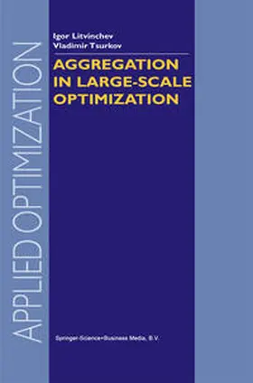 Litvinchev / Tsurkov | Aggregation in Large-Scale Optimization | E-Book | www.sack.de