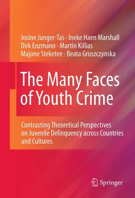Junger-Tas / Marshall / Enzmann |  The Many Faces of Youth Crime | eBook | Sack Fachmedien