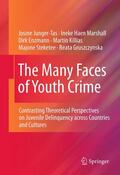 Junger-Tas / Marshall / Enzmann |  The Many Faces of Youth Crime | eBook | Sack Fachmedien