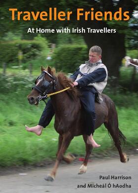 hAodha / Harrison | Traveller Friends | Buch | 978-1-4438-1257-3 | sack.de