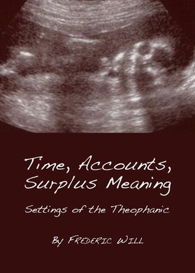 Will | Time, Accounts, Surplus Meaning | Buch | 978-1-4438-2890-1 | sack.de