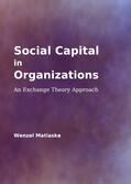 Matiaske |  Social Capital in Organizations | Buch |  Sack Fachmedien