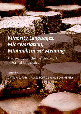 Rhys / Iosad / Henry |  Minority Languages, Microvariation, Minimalism and Meaning | Buch |  Sack Fachmedien