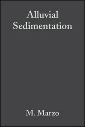 Marzo / Puigdefabregas |  Alluvial Sedimentation | eBook | Sack Fachmedien