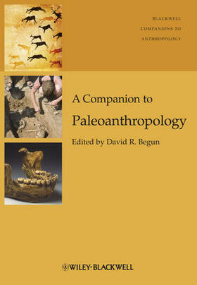 Begun | A Companion to Paleoanthropology | Buch | 978-1-4443-3116-5 | sack.de