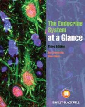 Greenstein / Wood | The Endocrine System at a Glance | Buch | 978-1-4443-3215-5 | sack.de