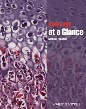 Peckham | Histology at a Glance | Buch | 978-1-4443-3332-9 | www.sack.de