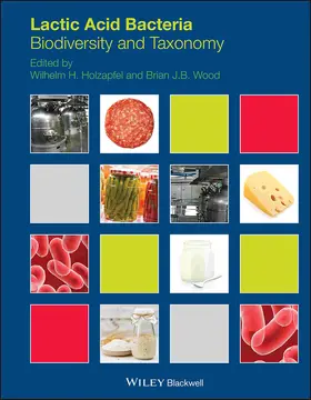 Holzapfel / Wood |  Lactic Acid Bacteria | Buch |  Sack Fachmedien