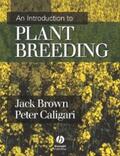 Brown / Caligari |  An Introduction to Plant Breeding | eBook | Sack Fachmedien