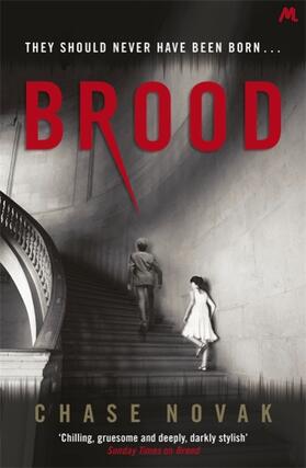 Novak |  Brood | Buch |  Sack Fachmedien