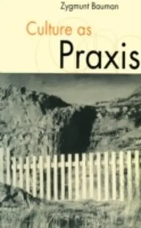 Bauman | Culture as Praxis | E-Book | sack.de