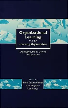 Easterby-Smith / Araujo / Burgoyne |  Organizational Learning and the Learning Organization | eBook | Sack Fachmedien