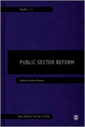 Massey |  Public Sector Reform | Buch |  Sack Fachmedien