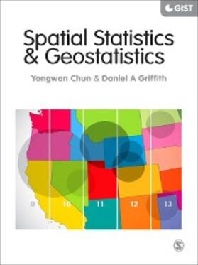 Chun / Griffith | Spatial Statistics and Geostatistics | E-Book | sack.de