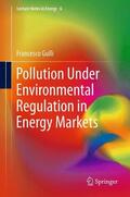 Gullì |  Pollution Under Environmental Regulation in Energy Markets | Buch |  Sack Fachmedien