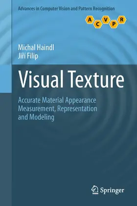 Haindl / Filip |  Visual Texture | eBook | Sack Fachmedien