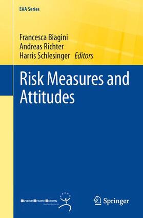 Biagini / Schlesinger / Richter |  Risk Measures and Attitudes | Buch |  Sack Fachmedien