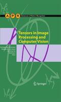 Aja-Fernández / Li / de Luis Garcia |  Tensors in Image Processing and Computer Vision | Buch |  Sack Fachmedien