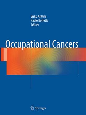 Boffetta / Anttila | Occupational Cancers | Buch | 978-1-4471-6903-1 | sack.de