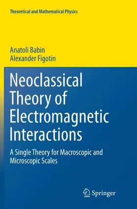 Figotin / Babin |  Neoclassical Theory of Electromagnetic Interactions | Buch |  Sack Fachmedien