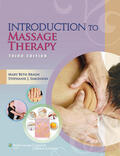 Braun |  Introduction to Massage Therapy | Buch |  Sack Fachmedien