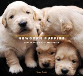 Scott |  Newborn Puppies | eBook | Sack Fachmedien