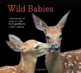 Scott |  Wild Babies | eBook | Sack Fachmedien