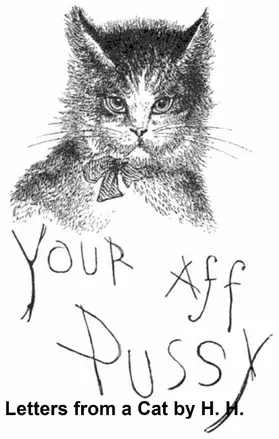 Jackson |  Letters from a Cat | eBook | Sack Fachmedien