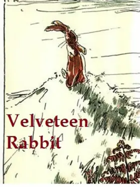 Williams |  Velveteen Rabbit | eBook | Sack Fachmedien