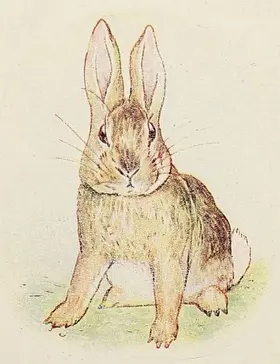 Potter |  The Story of a Fierce Bad Rabbit | eBook | Sack Fachmedien