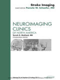  Stroke Imaging Update, An Issue of Neuroimaging Clinics | eBook | Sack Fachmedien