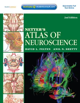 Shetty |  Netter's Atlas of Neuroscience E-Book | eBook | Sack Fachmedien