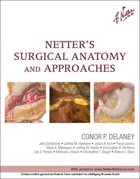  Netter's Surgical Anatomy and Approaches | eBook | Sack Fachmedien