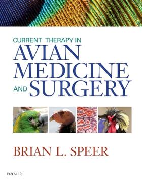 Speer | Current Therapy in Avian Medicine and Surgery | Buch | 978-1-4557-4671-2 | sack.de