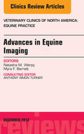  Advances in Equine Imaging, An Issue of Veterinary Clinics: Equine Practice | eBook | Sack Fachmedien