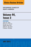 Rehman |  Volume 44, Issue 3, An Issue of Orthopedic Clinics, | eBook | Sack Fachmedien