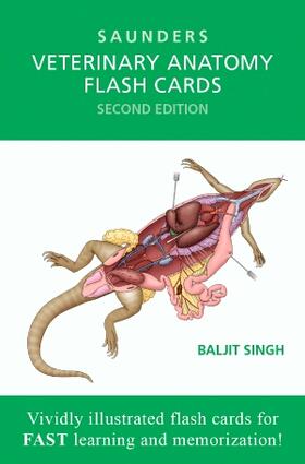 Singh |  Veterinary Anatomy Flash Cards | Sonstiges |  Sack Fachmedien