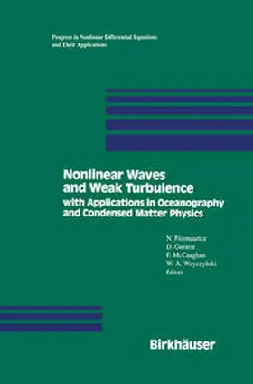 FITZMAURICE / GURARIE / MCCAUGHAN | Nonlinear Waves and Weak Turbulence | E-Book | www.sack.de