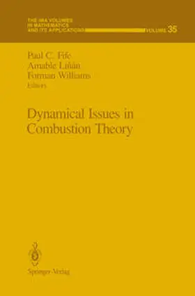 Fife / Linan / Williams |  Dynamical Issues in Combustion Theory | eBook | Sack Fachmedien
